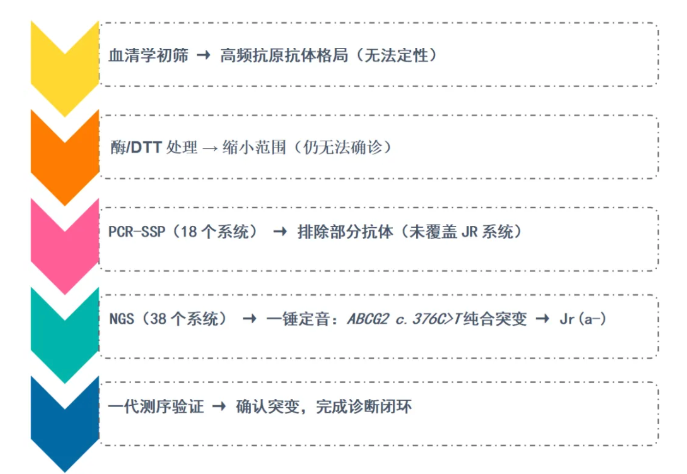 第二代基因测序（NGS）在疑难高频抗原抗体检测中的应用--附经典案例拆解1例
